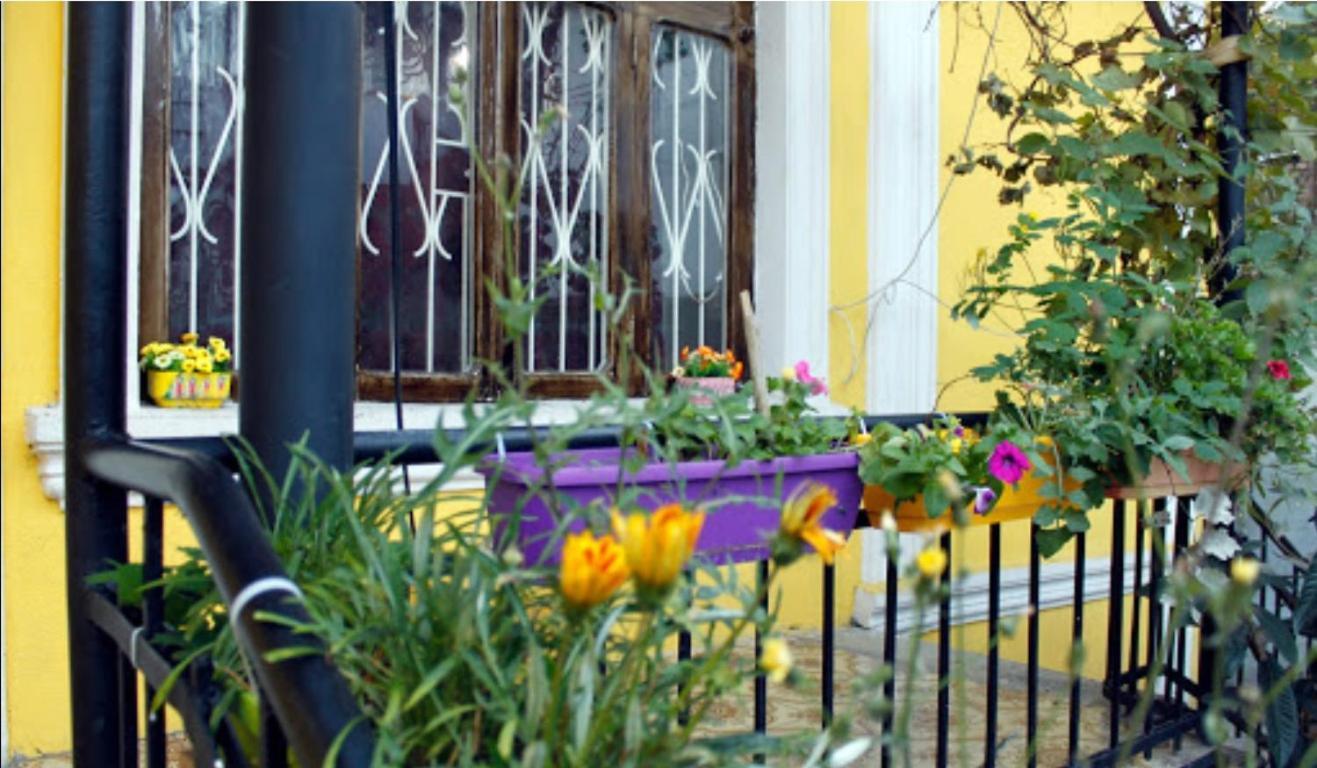 Colors Hostel Тбилиси Экстерьер фото