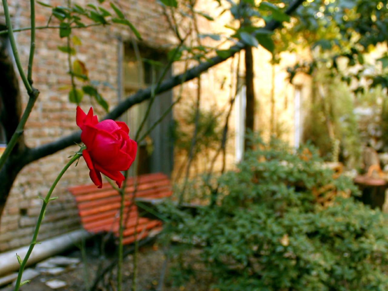 Colors Hostel Тбилиси Экстерьер фото